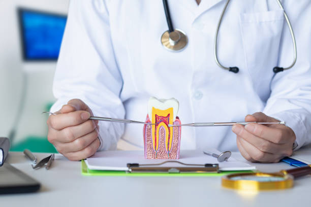 Best Dental Abscess Treatment in Bonita, CA